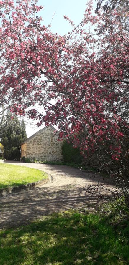 Chambres D'Hotes La Maison D'Apres Charolles Bagian luar foto